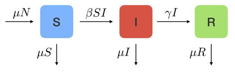 Understanding the SIR model | Sinead Morris