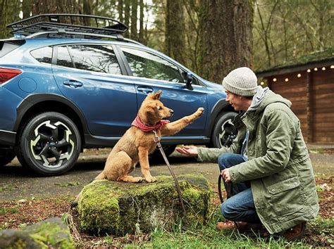 Findlay Subaru St. George | Subaru Dealer in St. George, UT