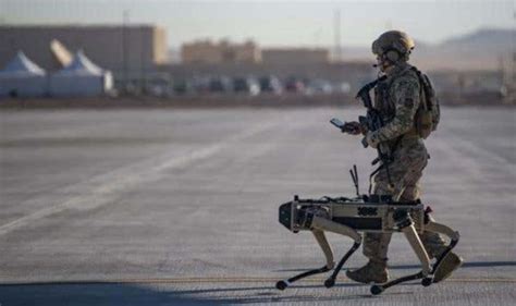 US Air Force: 'Unstoppable' Army trials AI robot dogs to defend bases ...