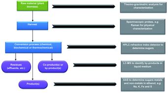 Analytical techniques for the chemical analysis of plant biomass and ...