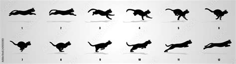 Cat Run cycle animation sequence Stock Vector | Adobe Stock