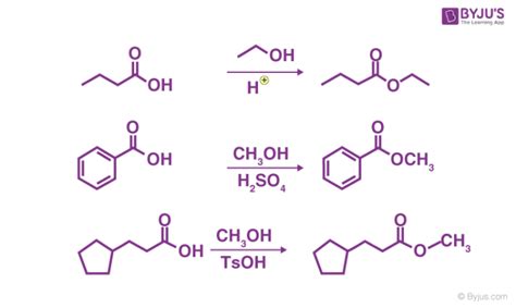 Chegg Examination of the Fischer Esterification Mechanism Continues ...