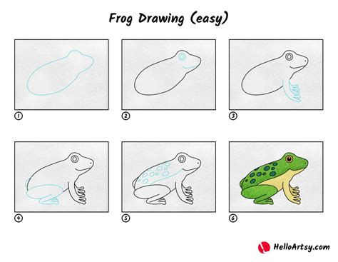 How To Draw A Frog For Kids Step By Step