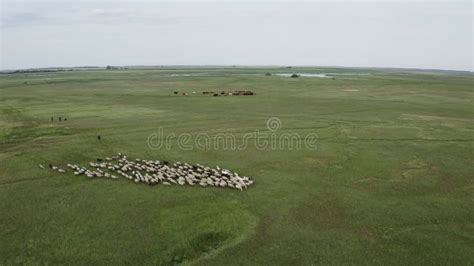 The Marshy, Flooded Area. it is a Unique Ecosystem, Rich in Flora and ...