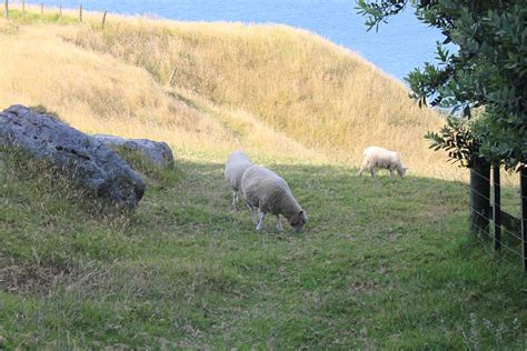 Tauranga for the adventurous spirit!