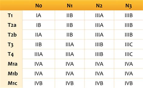 stage 4 bac lung cancer