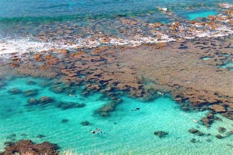 Hanauma Bay Snorkeling (Oʻahu): A Complete Visitor Guide