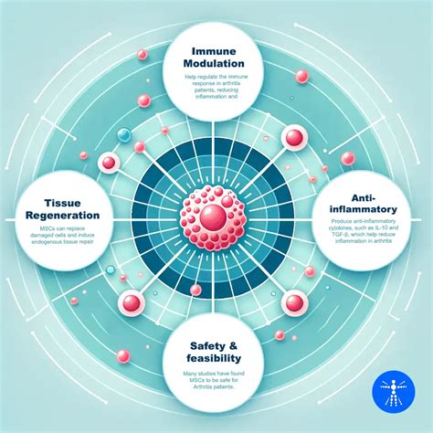 Stem Cell Therapy for Arthritis: Success Rate & Cost Info (2023)