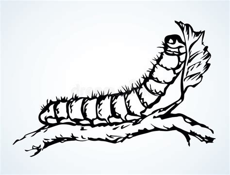 Hairy Caterpillar Stock Illustrations – 139 Hairy Caterpillar Stock ...