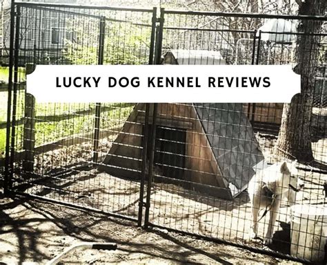 Lucky Dog Kennel Reviews (2024) - Which is the best? - We Love Doodles