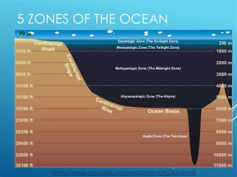 Ocean Zone Map - Wayne Baisey