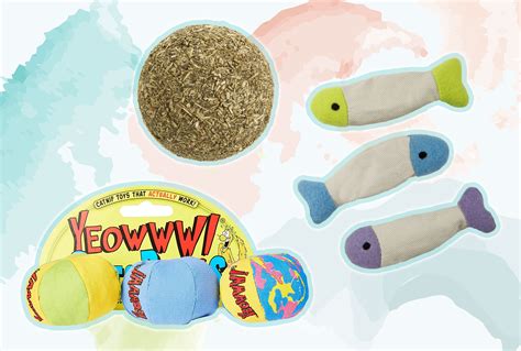 The 8 Best Catnip Toys of 2024