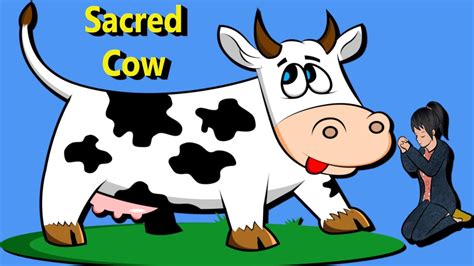 Idioms: What does Sacred Cow mean? - YouTube