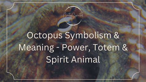 Octopus Symbolism & Meaning - Power, Totem & Spirit Animal