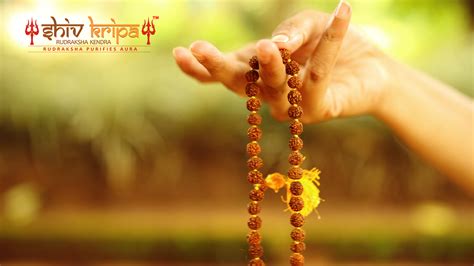 Know the Importance & Benefits of Five Mukhi Rudraksha