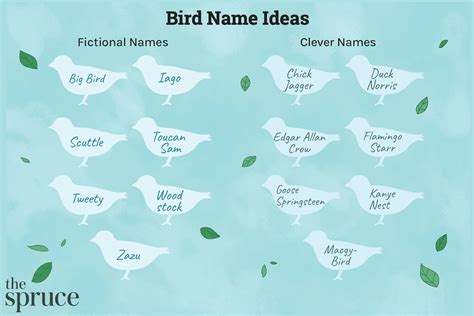 Names for Pet Birds