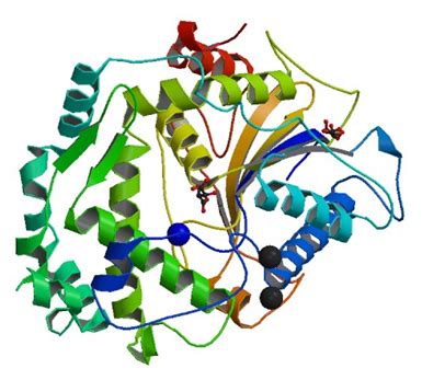 Enzyme Activity Measurement for 4-Phytase