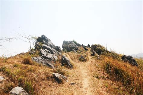 Rocky Path Stock Photos, Images and Backgrounds for Free Download