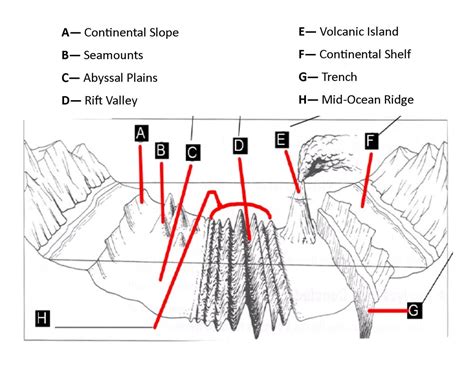 Gap Lesson C: Features of the Ocean Floor (DOK 1-2) - Green Sea Floyds ...