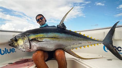 Yellowfin Tuna: What Makes It Worth The Catch [BLOG 2019]