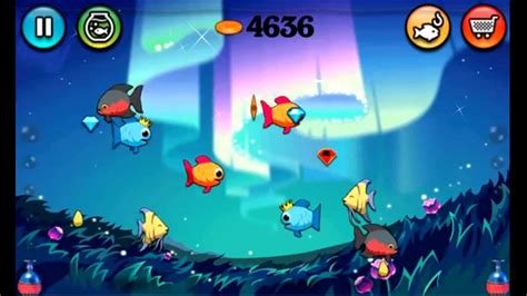 Insaniquarium Deluxe Free Download For Ipad - multiprogrameurope