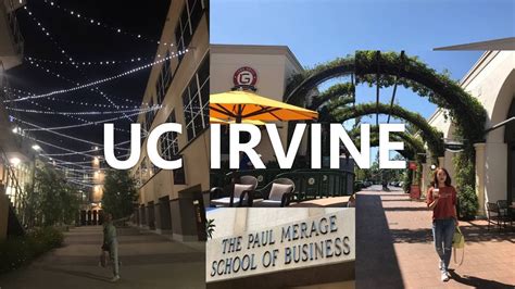 미국 어학연수 UC Irvine CLIMB 2019 #1 UC Irvine Campus tour, OT, BBQ Party ...