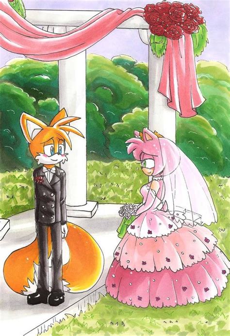 A Tails and Amy Wedding by hopelessromantic721 | Amy rose, Sonic art ...