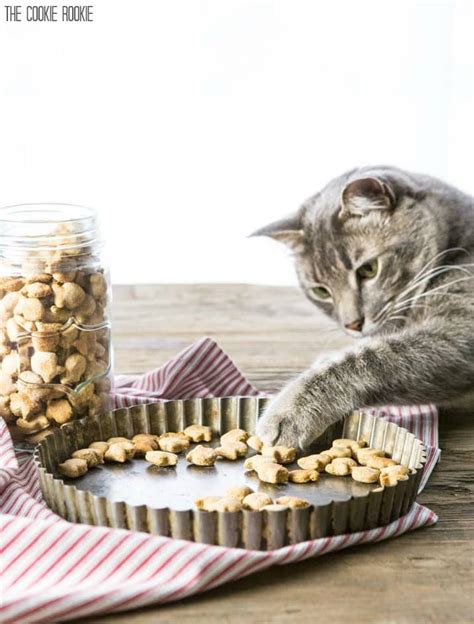 Homemade Cat Treats Recipe - 3 Ingredient Salmon Cat Treats