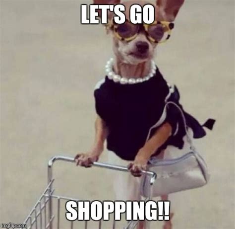 22 Shopping Memes That Are Just Too Hilarious - SayingImages.com ...