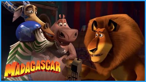 YARN, LADY AND THE TRAMP MELMAN, Madagascar 3: Europe's Most Wanted ...