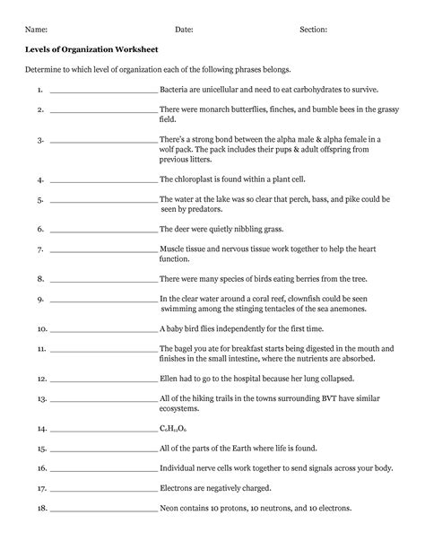 Levels of Organization Worksheet - Name: Date: Section: Levels of ...