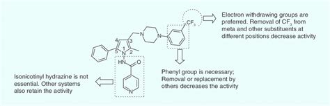 Structure–activity relationship of pyrrole derivatives. | Download ...