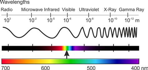 Arrange the following in order from the shortest wavelength to the ...