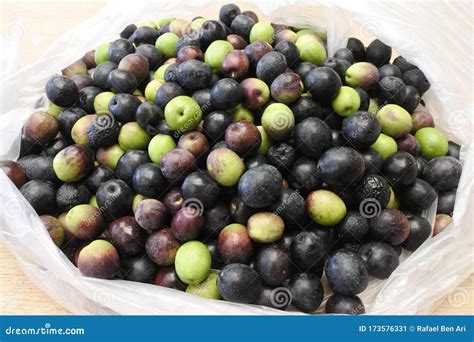 Many Manzanilla Olives in a Bag Stock Image - Image of delicious ...