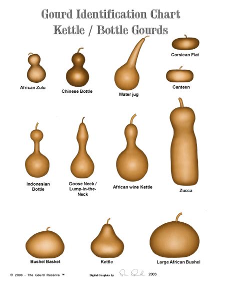 In My Painted Garden: Gourd Id Chart & Hole size