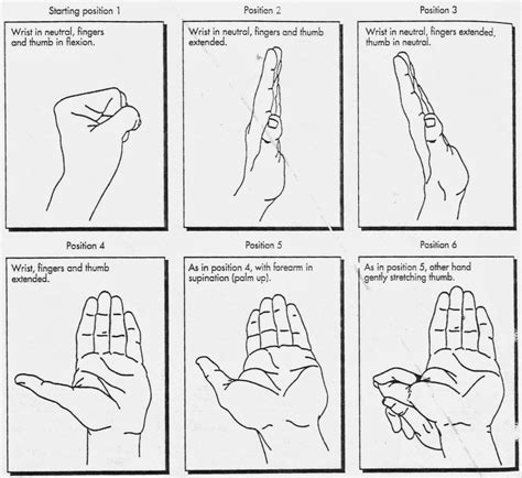 Nerve and Tendon Gliding Exercise | World of occupational therapy ...