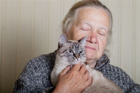 Senior Cats for Senior Citizens: Adopting a Cat After Losing a Loved O ...