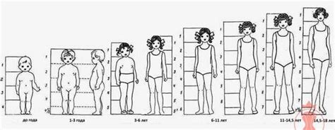 Image result for different age body proportions | Body proportions ...