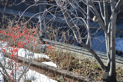 The Highline NYC in art & installations: Winter 2016 | Liv and Rob