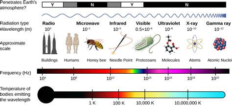 16.6: The Electromagnetic Spectrum - Physics LibreTexts