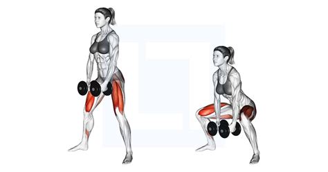 Dumbbells Sumo Squat - Guide, Benefits, and Form