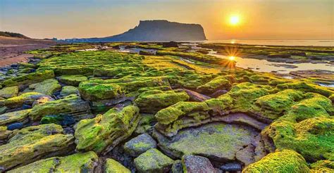 Here's why Jeju Island, South Korea’s Hawaii, is known as ‘Island of ...