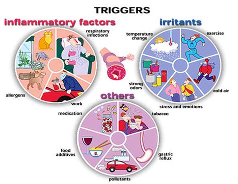 Asthma 101 - Colorado Allergy & Asthma Centers, P.C.