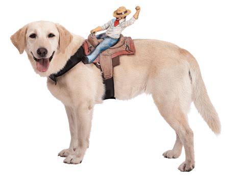 Dog Riders Cowboy Costume - Includes one dog harness with a cowboy ...