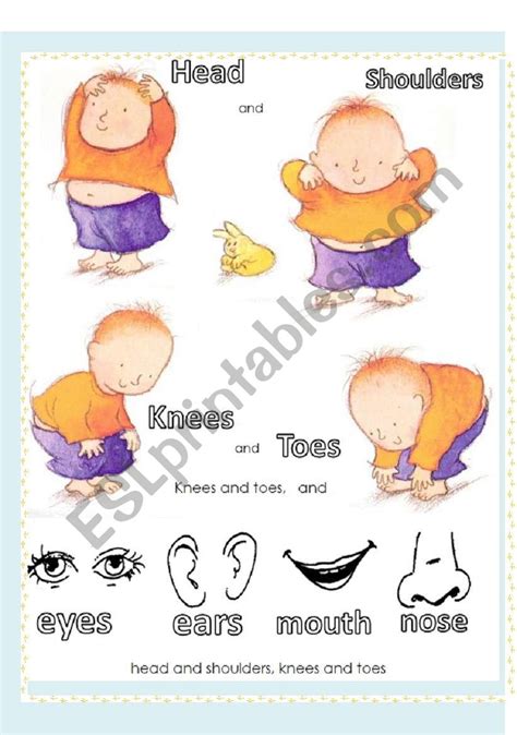 Head, shoulders knees and toes - Song - ESL worksheet by meivi02