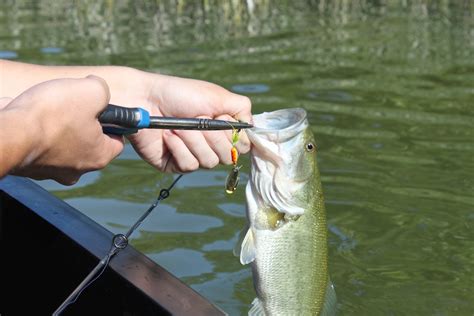 The Lure of All Lures - the Worden's Rooster Tail — Texas Kayak Fisher