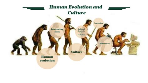 Human Evolution Poster