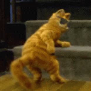 Cat Dancing GIF - Cat Dancing ShakeThatAss - Discover & Share GIFs ...