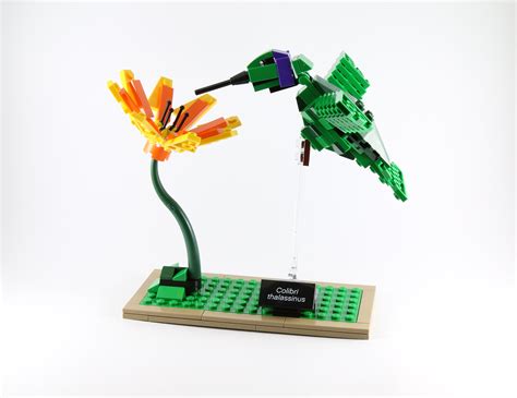 Review: LEGO Ideas 21301 Birds