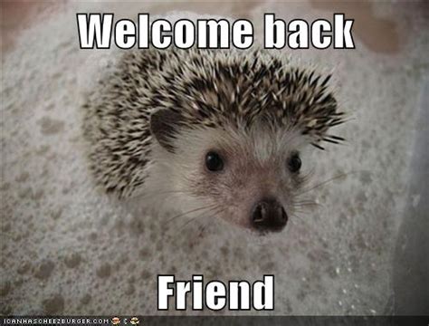 Animal Capshunz - welcome back - Funny animal pictures with captions ...